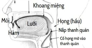 phát âm