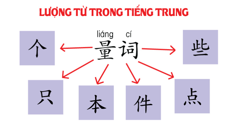 Lượng từ trong tiếng Trung