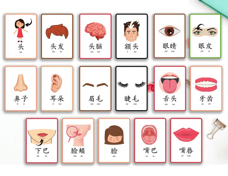 hoc-tieng-trung-bang-hinh-anh-va-flashcards 
