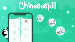 ChineseSkill 