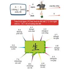 Học từ vựng tiếng Trung bằng sơ đồ tư duy